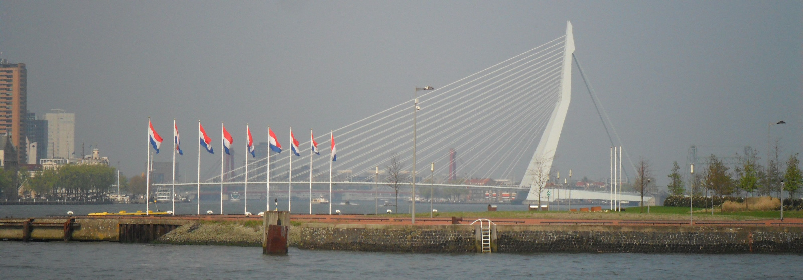 Erasmusbrug1